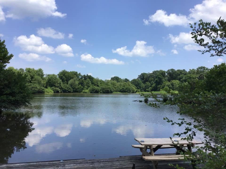 Camden, Benton County, TN Undeveloped Land for sale Property ID