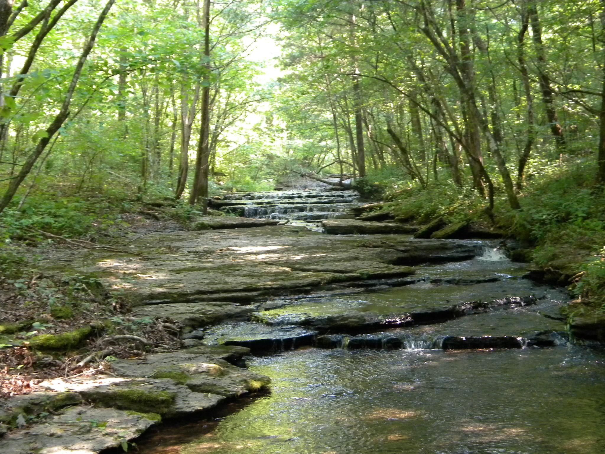 Hohenwald, Lewis County, TN for sale Property ID 332231183 LandWatch