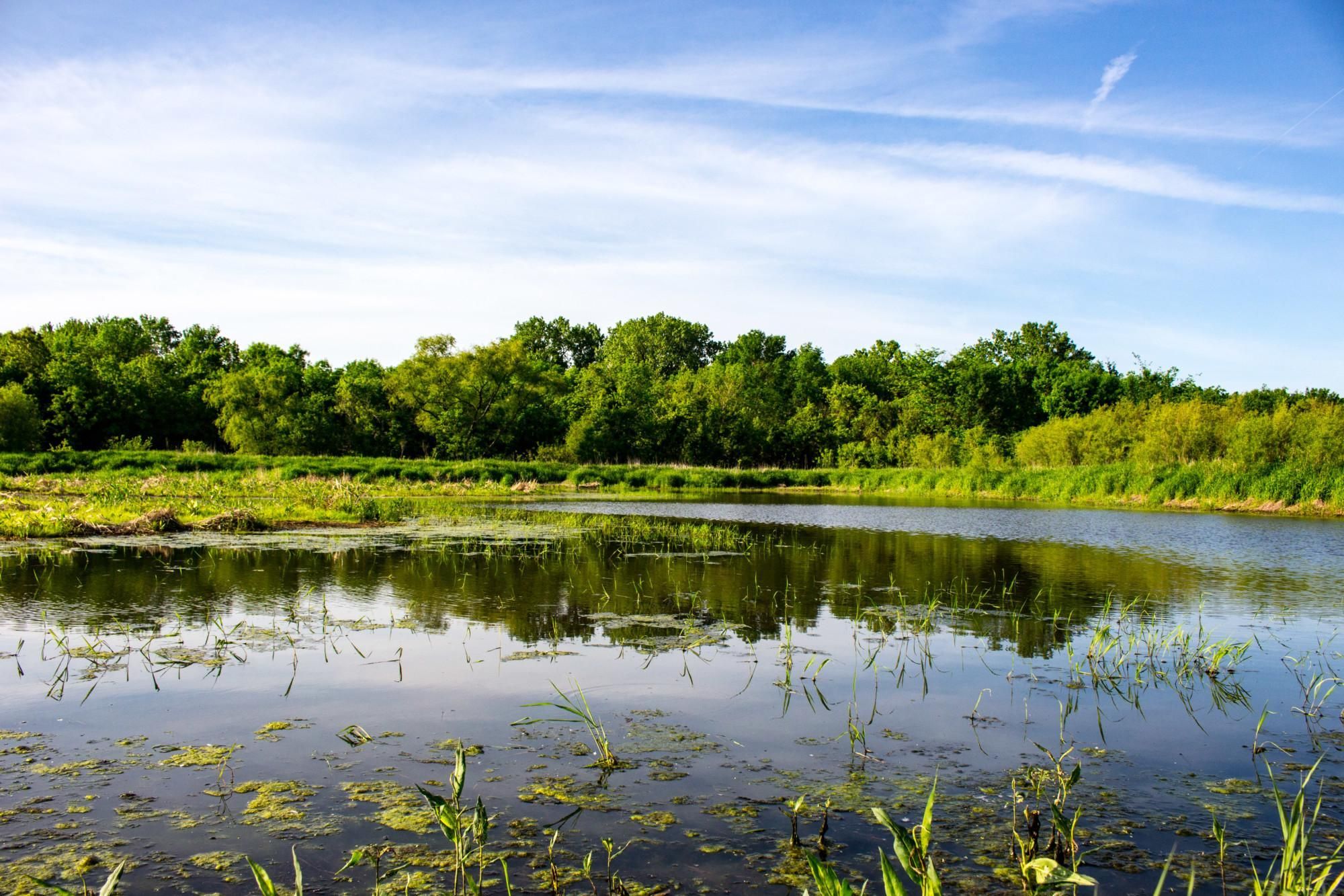Mount Ayr, Ringgold County, IA Farms and Ranches, Recreational Property