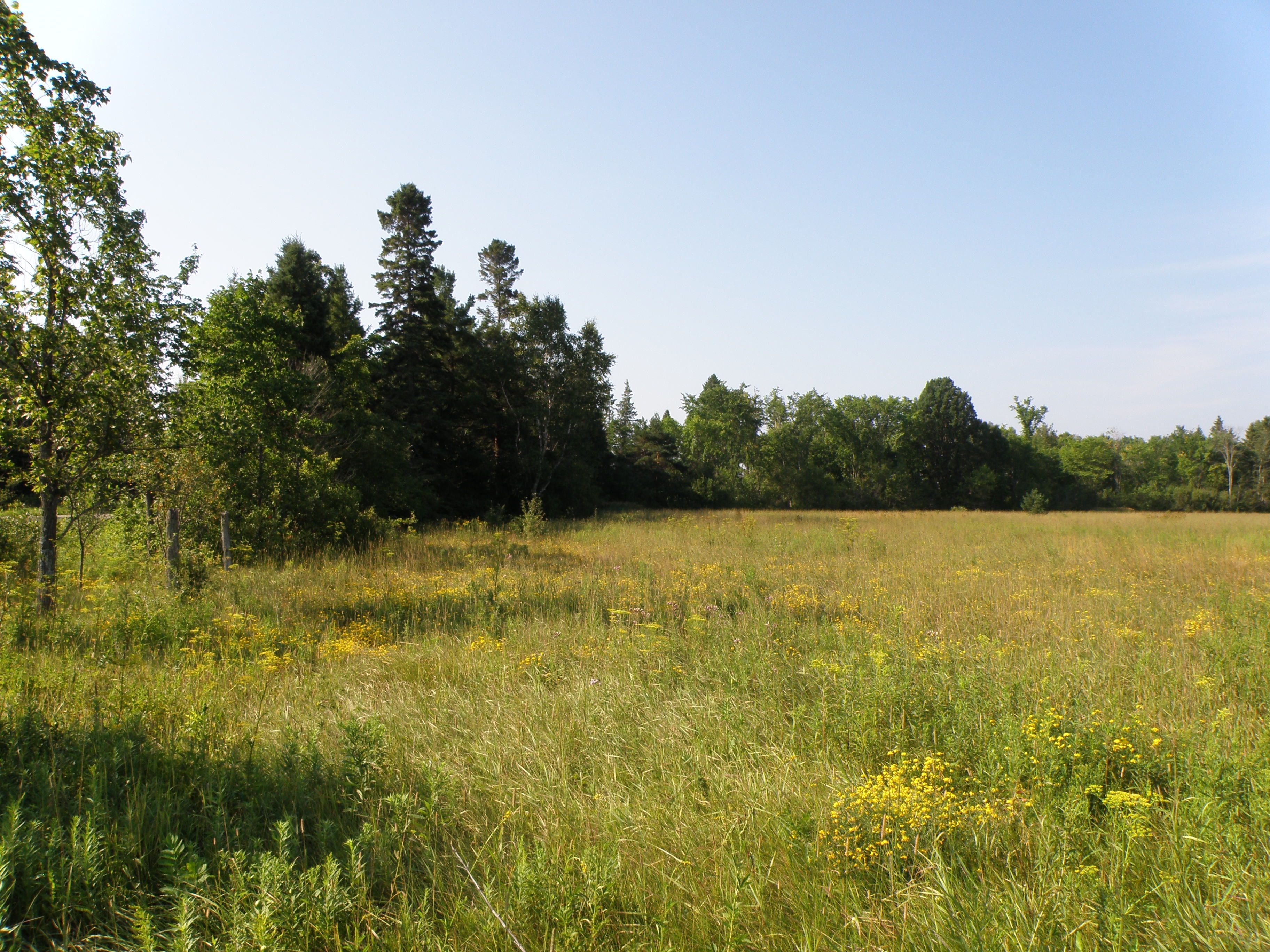 Rudyard, Chippewa County, MI Undeveloped Land for sale Property ID