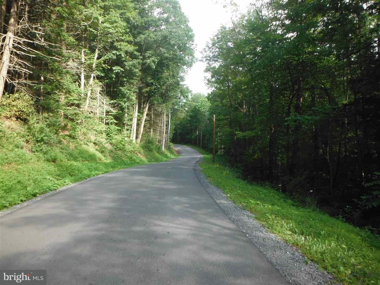 Lock Haven, Clinton County, PA Undeveloped Land for sale Property ID