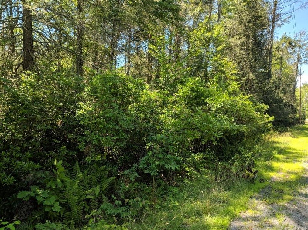 Sparrow Bush, Orange County, NY House for sale Property ID 332840346