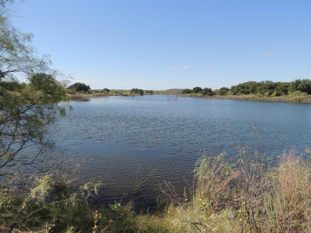 Gouldbusk, Coleman County, TX Farms and Ranches, Recreational Property