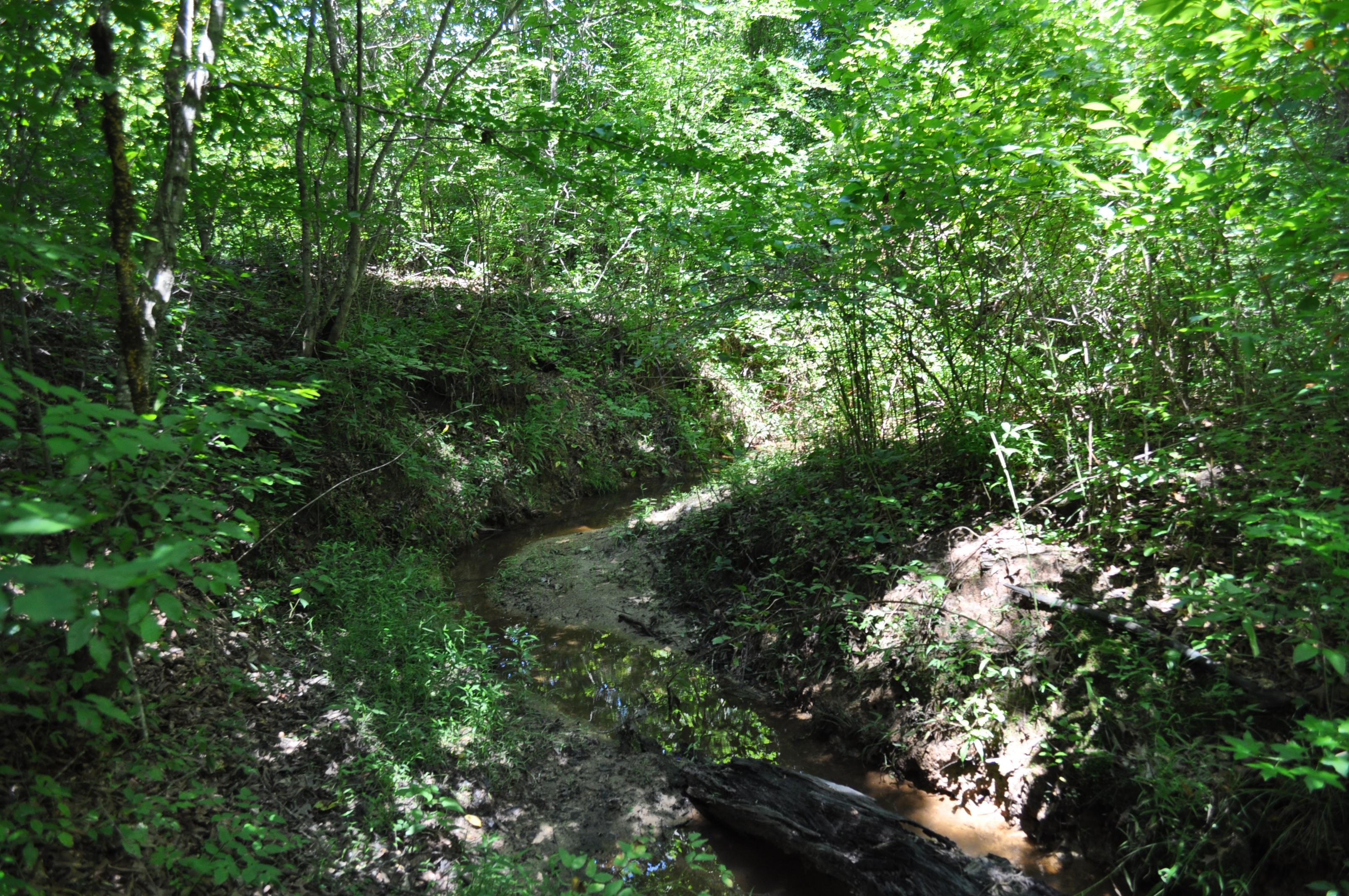 Greensboro, Greene County, GA Recreational Property, Undeveloped Land