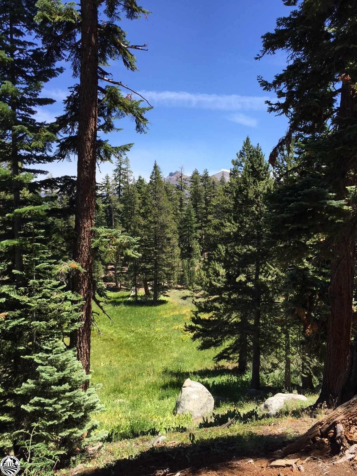 Pinecrest, Tuolumne County, CA for sale Property ID 332272810 LandWatch