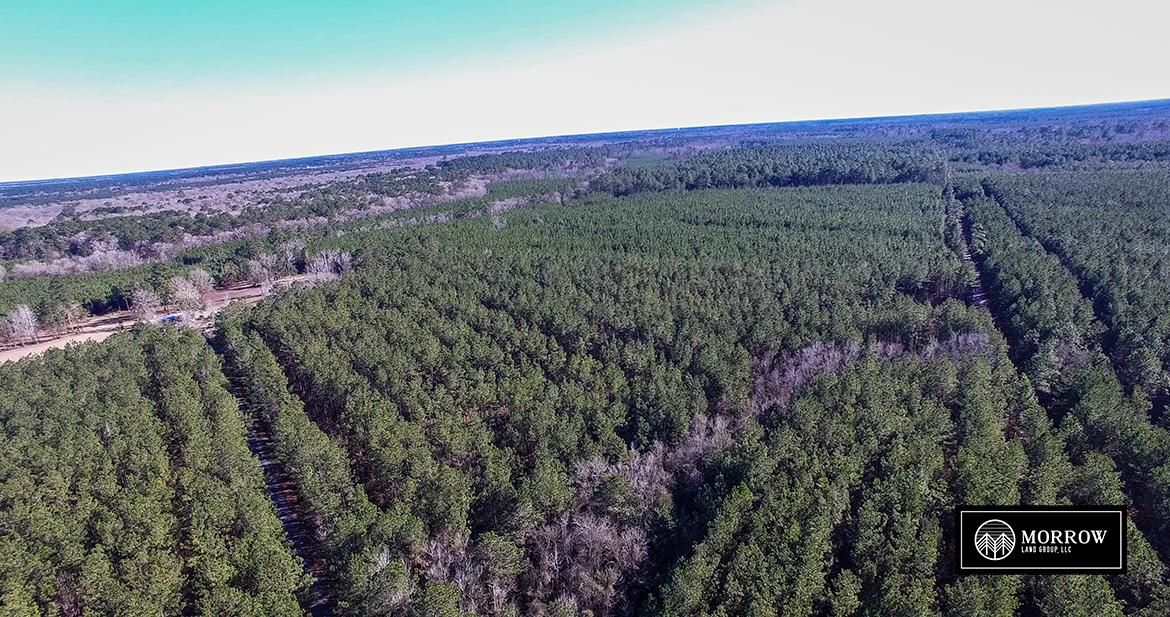 Oakdale, Allen Parish, LA Recreational Property, Timberland Property