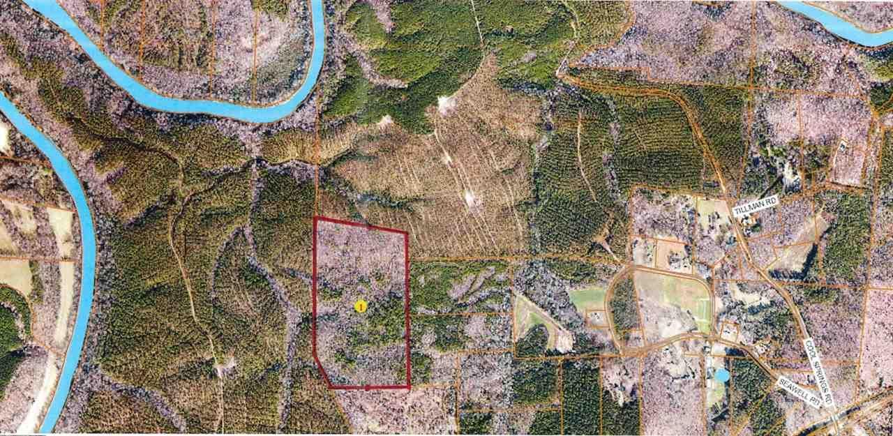 Carthage, Moore County, NC Undeveloped Land for sale Property ID