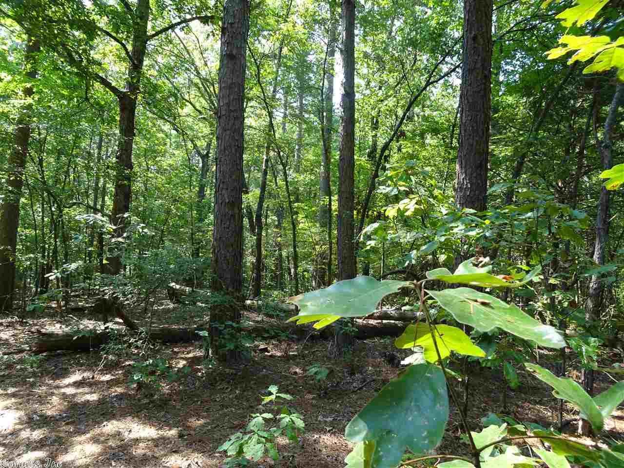 Hickory Plains, Prairie County, AR Undeveloped Land for sale Property ID 332290929 LandWatch