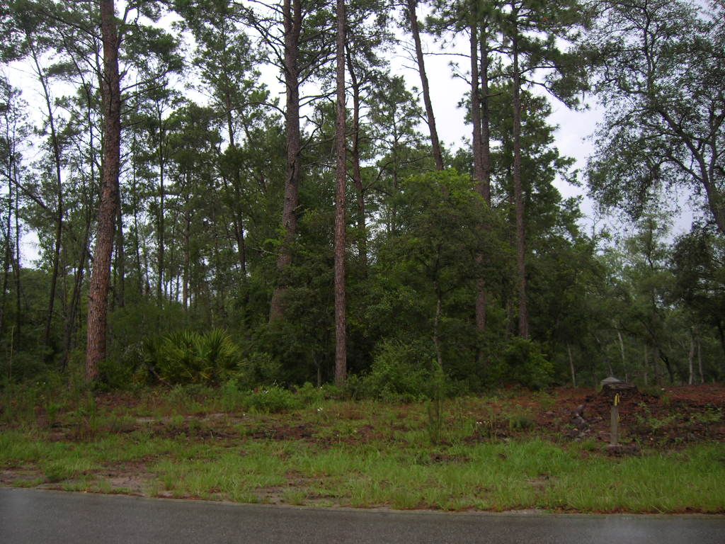 Lake Como, Putnam County, FL Undeveloped Land, Homesites for sale
