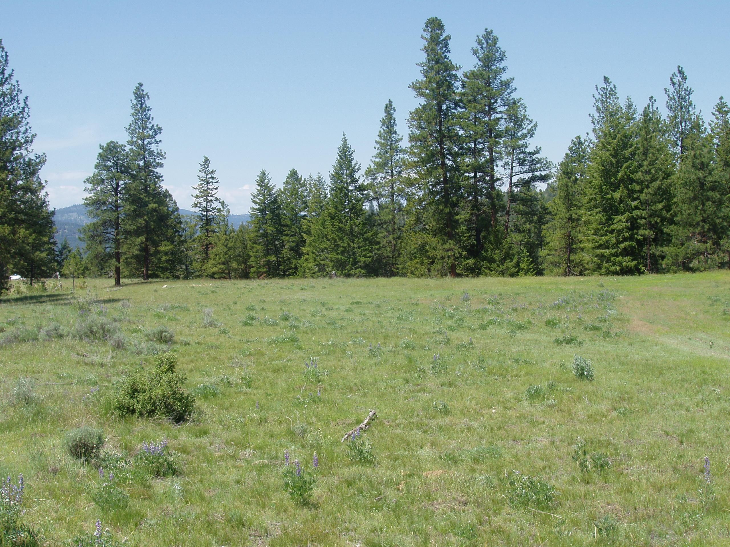 Tonasket, Okanogan County, WA Recreational Property, Horse Property