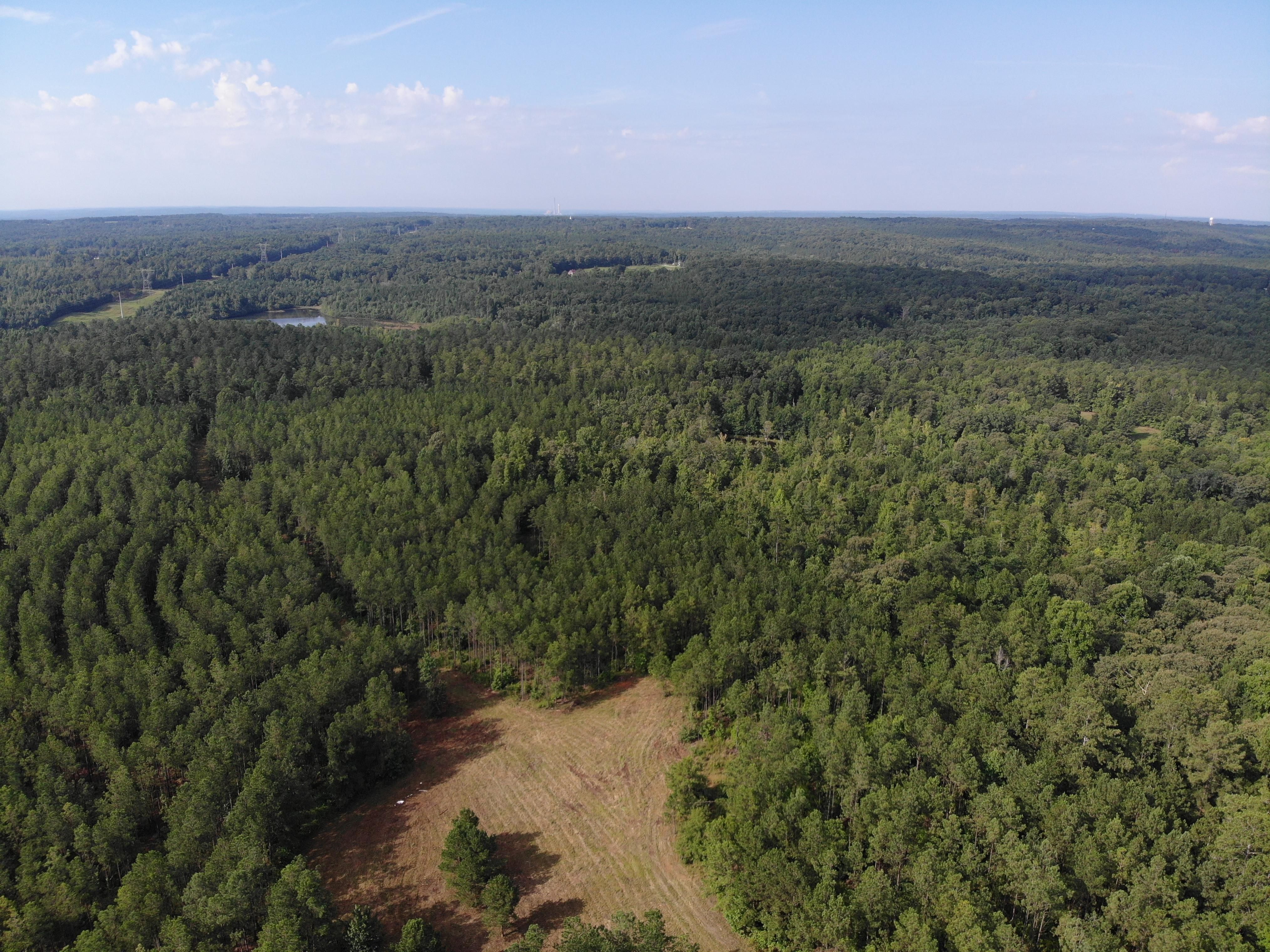 Whitesburg, Carroll County, GA Recreational Property, Timberland Property, Hunting Property for