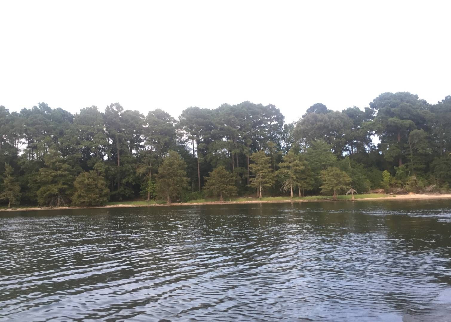 Toledo Bend, Sabine Parish, LA for sale Property ID 332385344 LandWatch