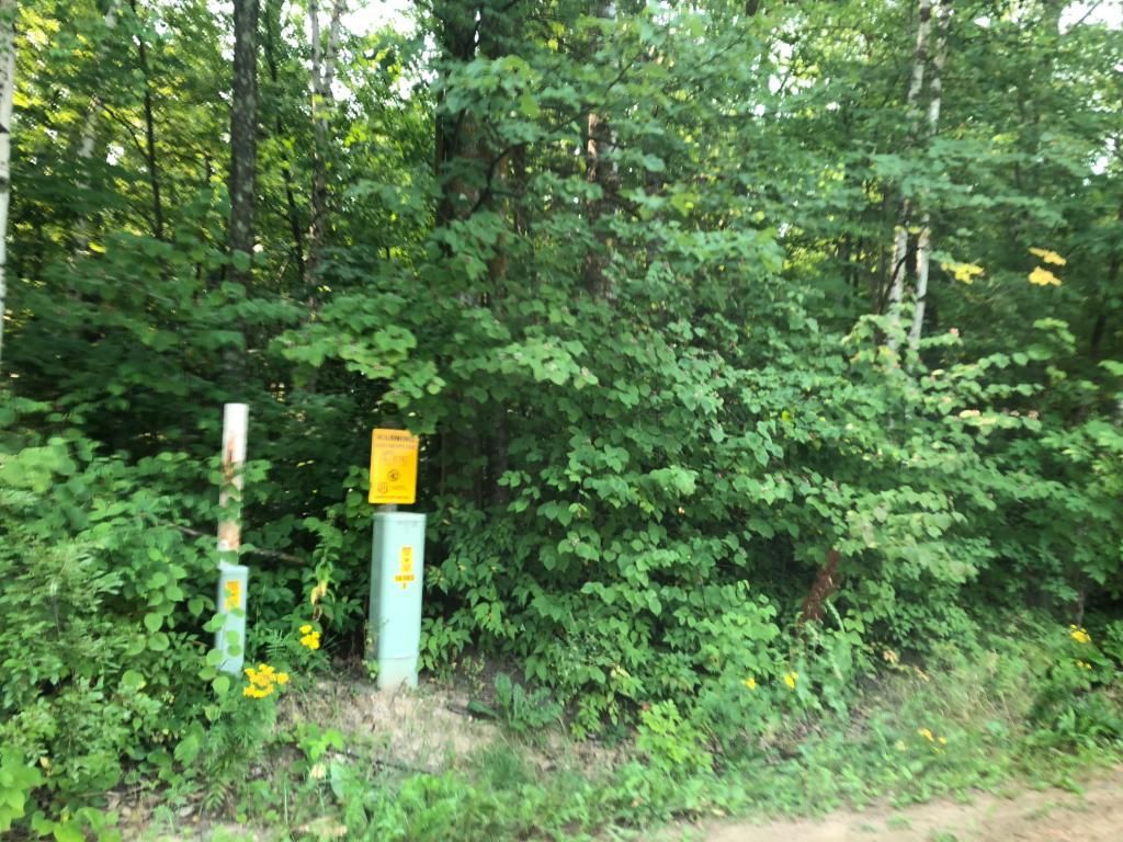 Randall, Morrison County, MN Undeveloped Land, Lakefront Property