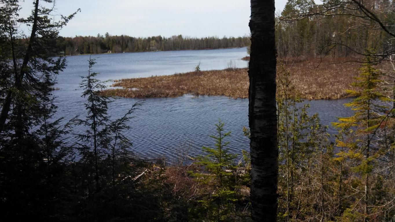 Millersburg, Presque Isle County, MI Lakefront Property, Waterfront