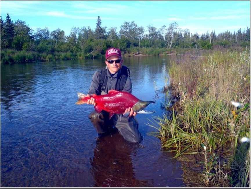 Iliamna, Lake and Peninsula Borough, AK Recreational Property