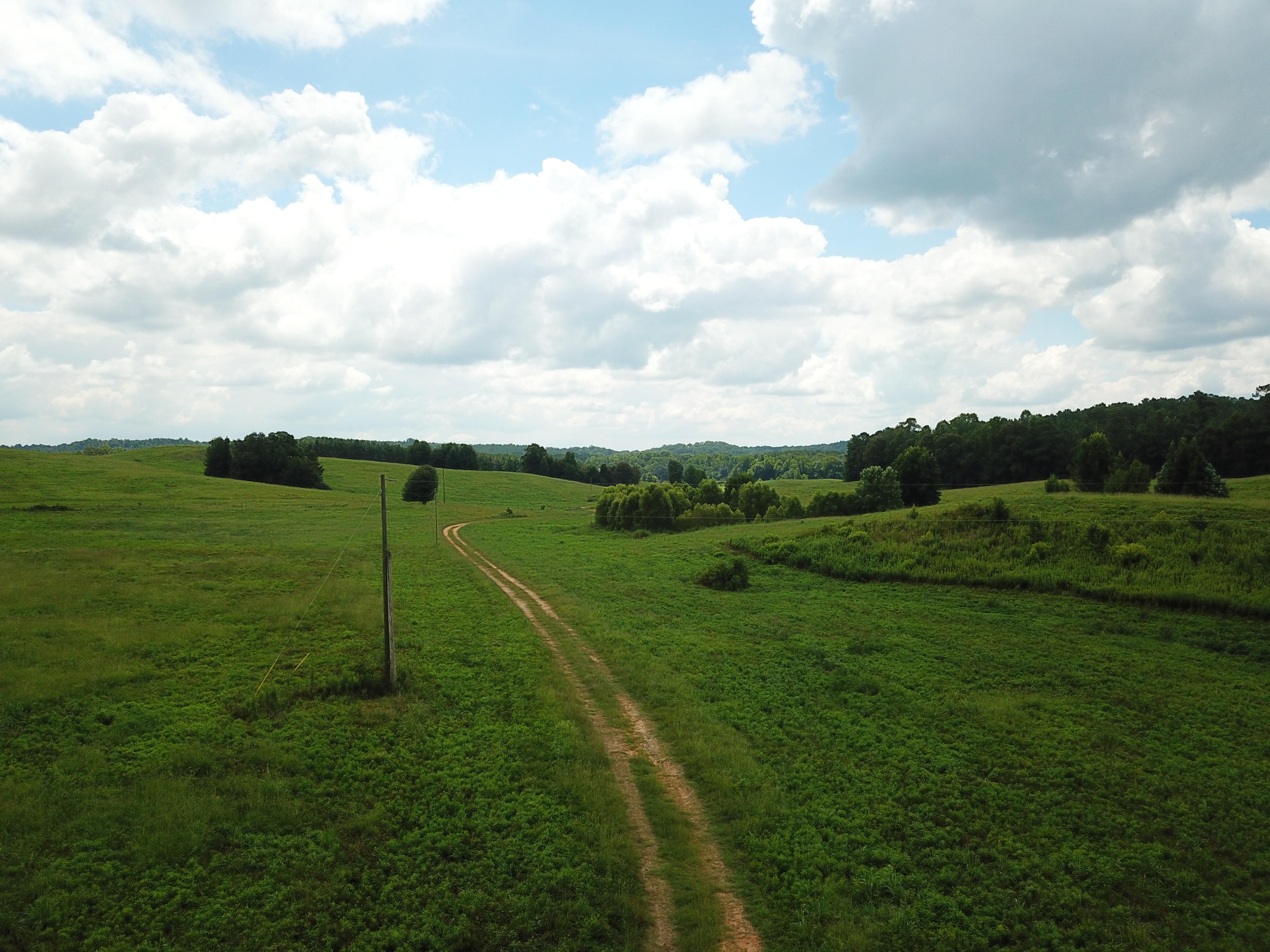 Maplesville, Chilton County, AL Farms and Ranches, Timberland Property
