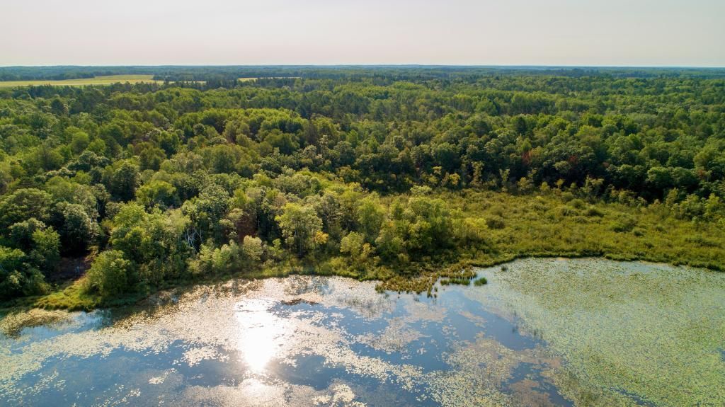 Pequot Lakes, Crow Wing County, MN Undeveloped Land, Lakefront Property, Waterfront Property for