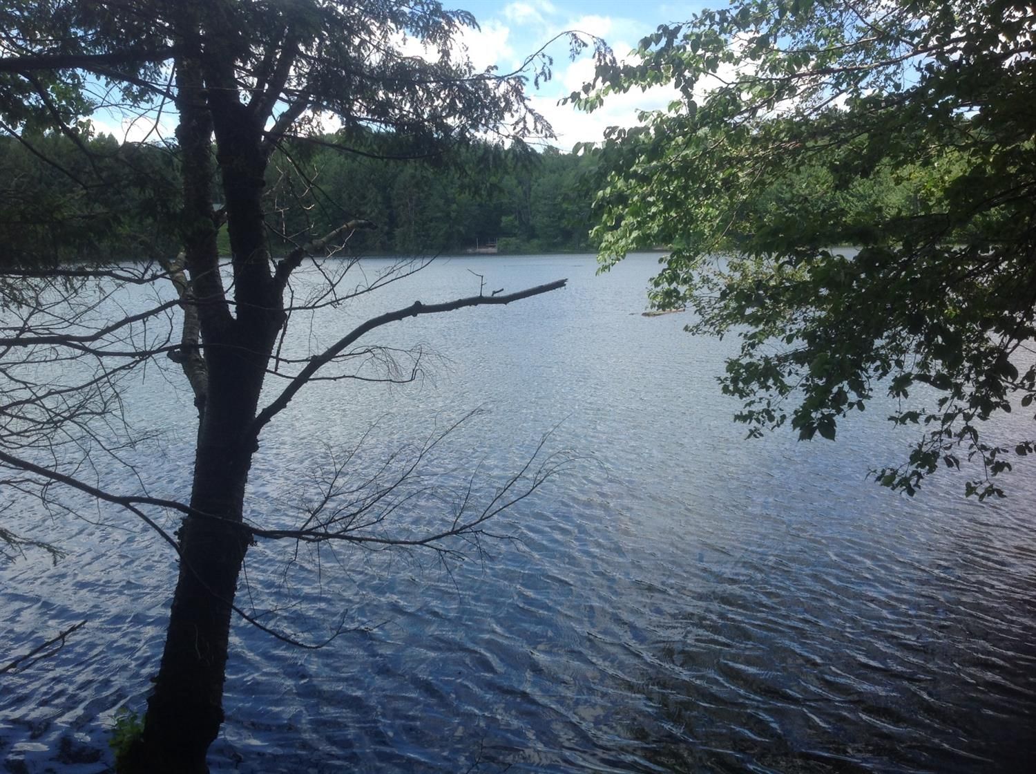 Smyrna, Chenango County, NY Undeveloped Land for sale Property ID