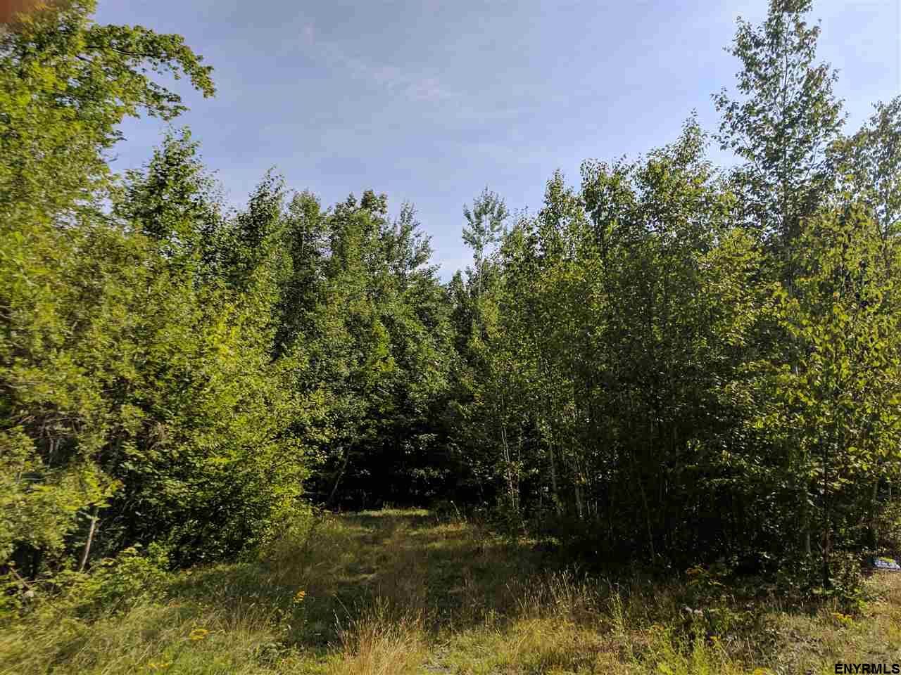 Summit, Schoharie County, NY Undeveloped Land for sale Property ID