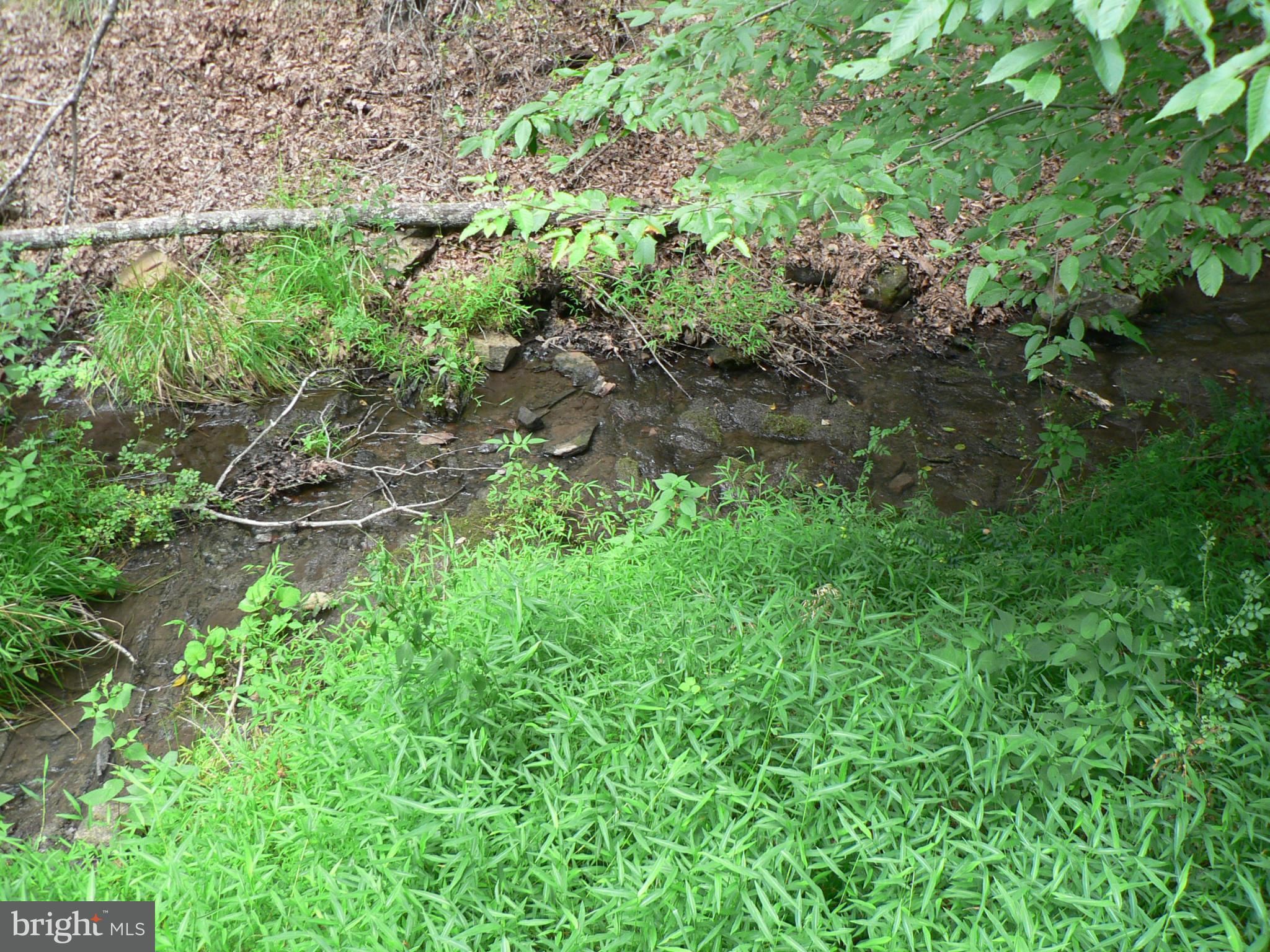 Upper Tract, Pendleton County, WV Undeveloped Land for sale Property ID