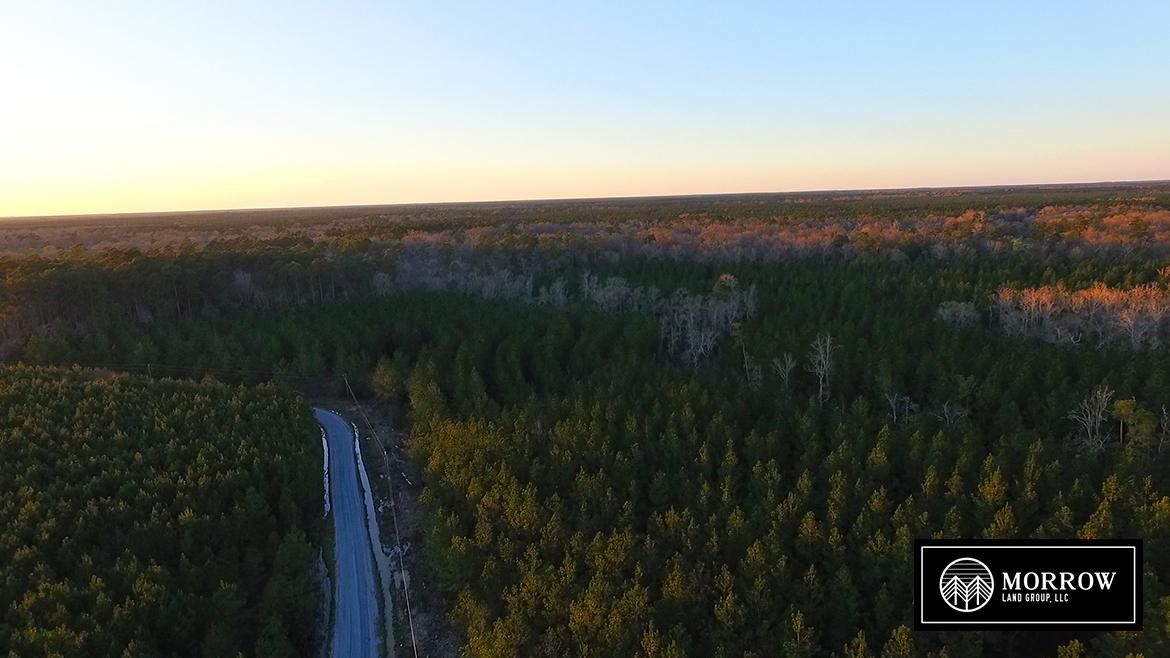 Oberlin, Allen Parish, LA Recreational Property, Undeveloped Land for