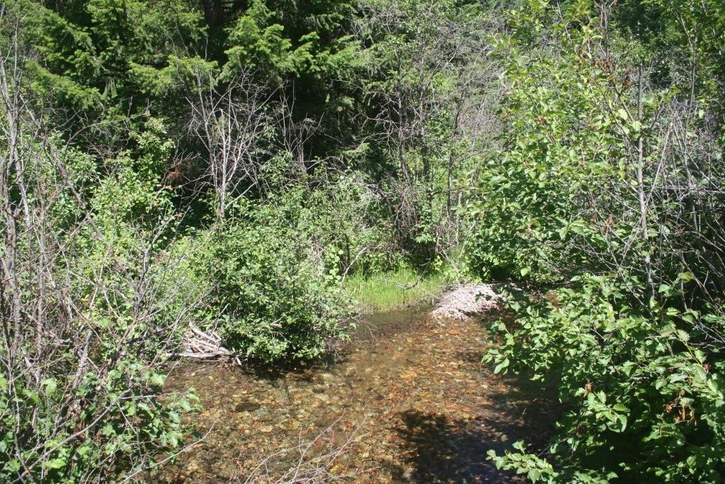 Lolo, Missoula County, MT Recreational Property, Timberland Property