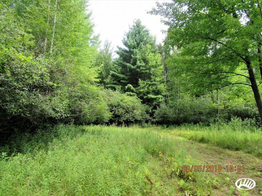 Pettit Road, Birch Run, MI 48415 LandWatch