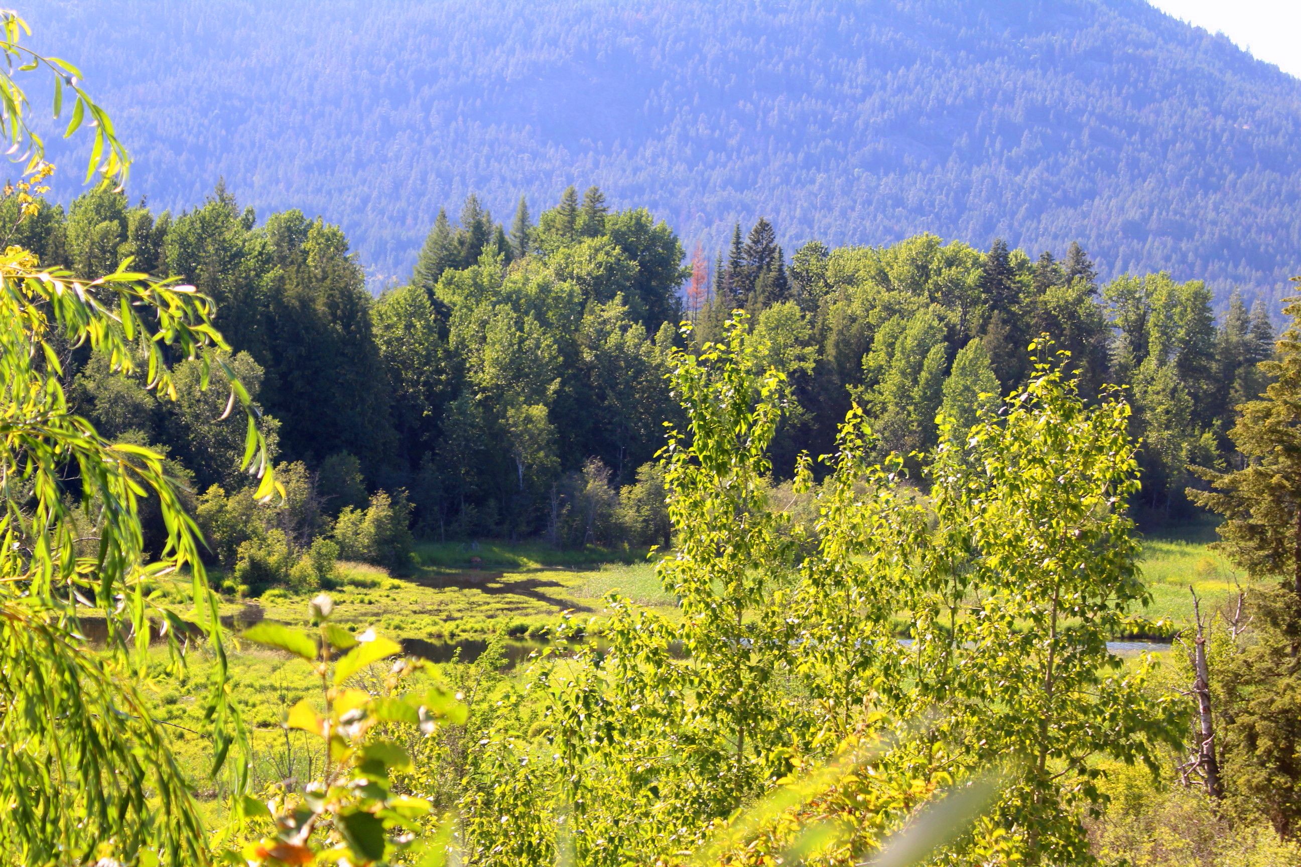 Ponderay, Bonner County, ID Undeveloped Land for sale Property ID