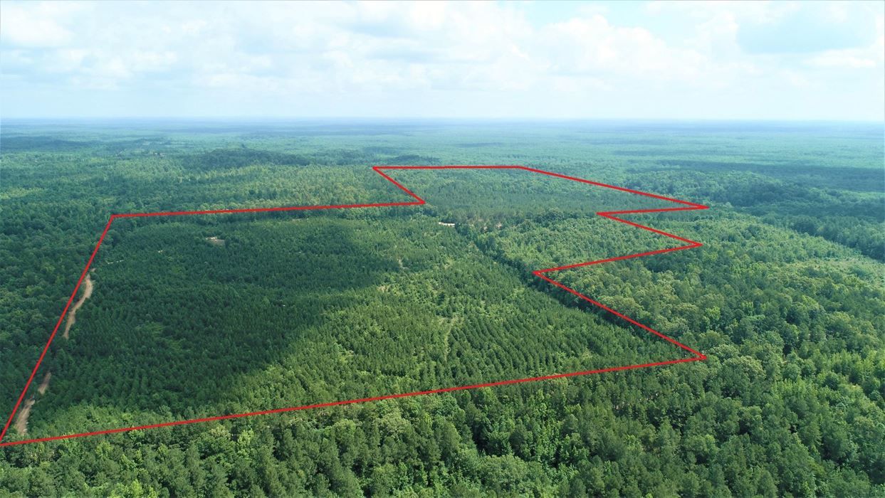 Doddridge, Miller County, AR Recreational Property, Undeveloped Land