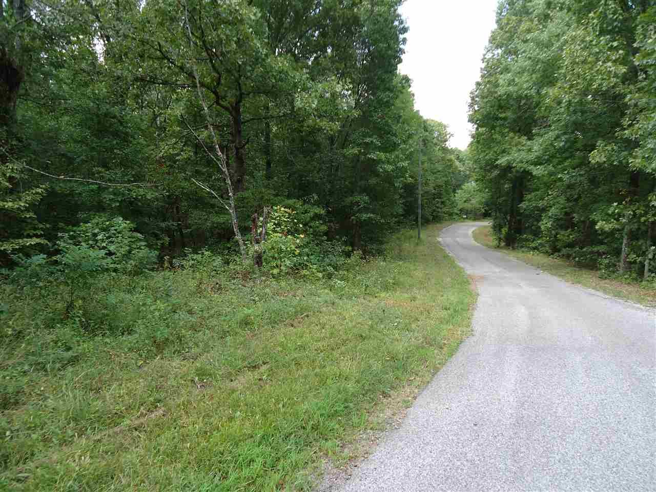 Murray, Calloway County, KY Undeveloped Land, Homesites for sale