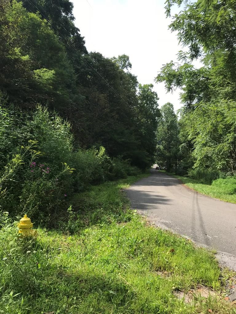 Abbs Valley, Tazewell County, VA Undeveloped Land for sale Property ID