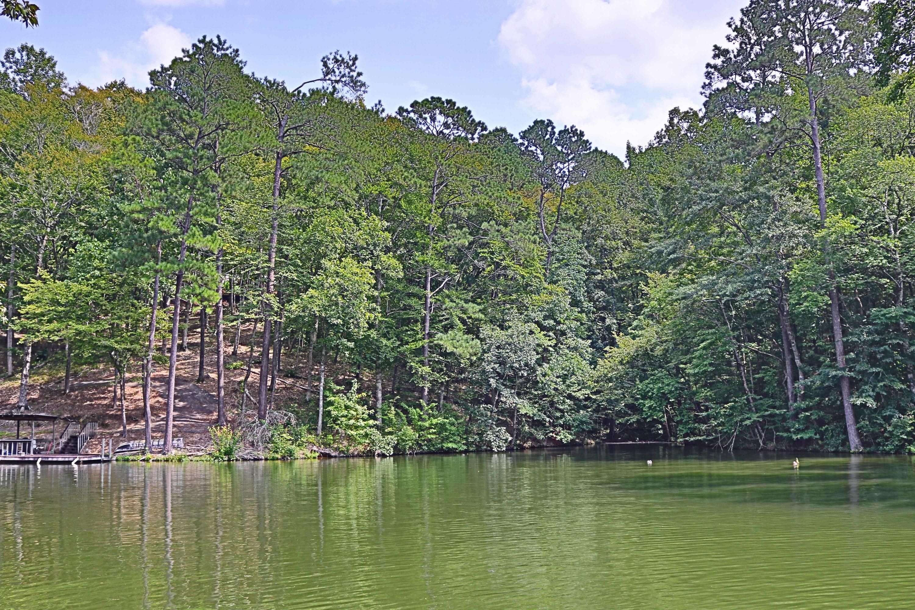 Jacksons Gap, Tallapoosa County, AL Undeveloped Land, Lakefront
