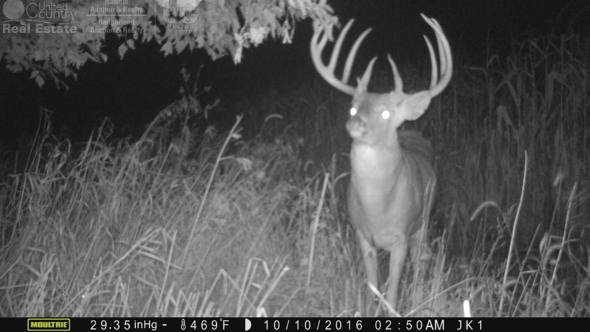 Wisconsin Dells, Columbia County, WI Hunting Property, House for sale