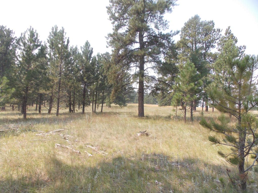 Sundance, Crook County, WY Farms and Ranches for sale Property ID