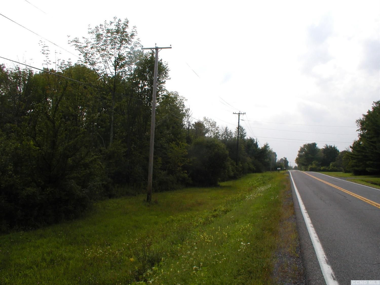 Westerlo, Albany County, NY Undeveloped Land for sale Property ID 332551988 LandWatch