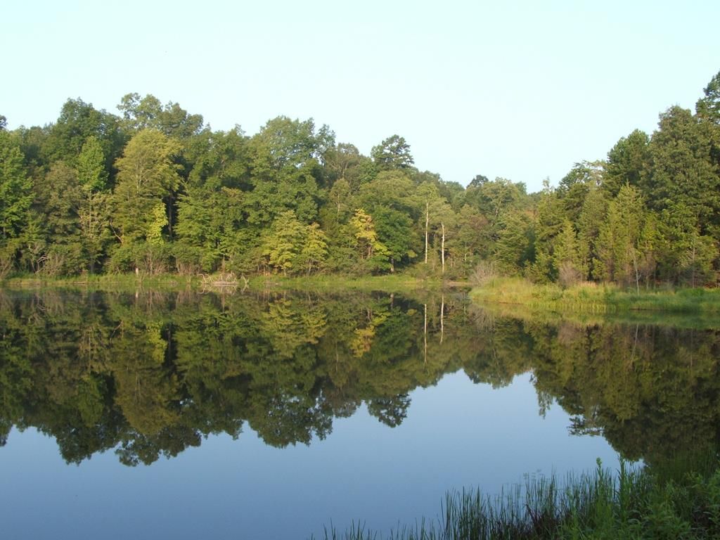 Farmville, Prince Edward County, VA Undeveloped Land, Lakefront