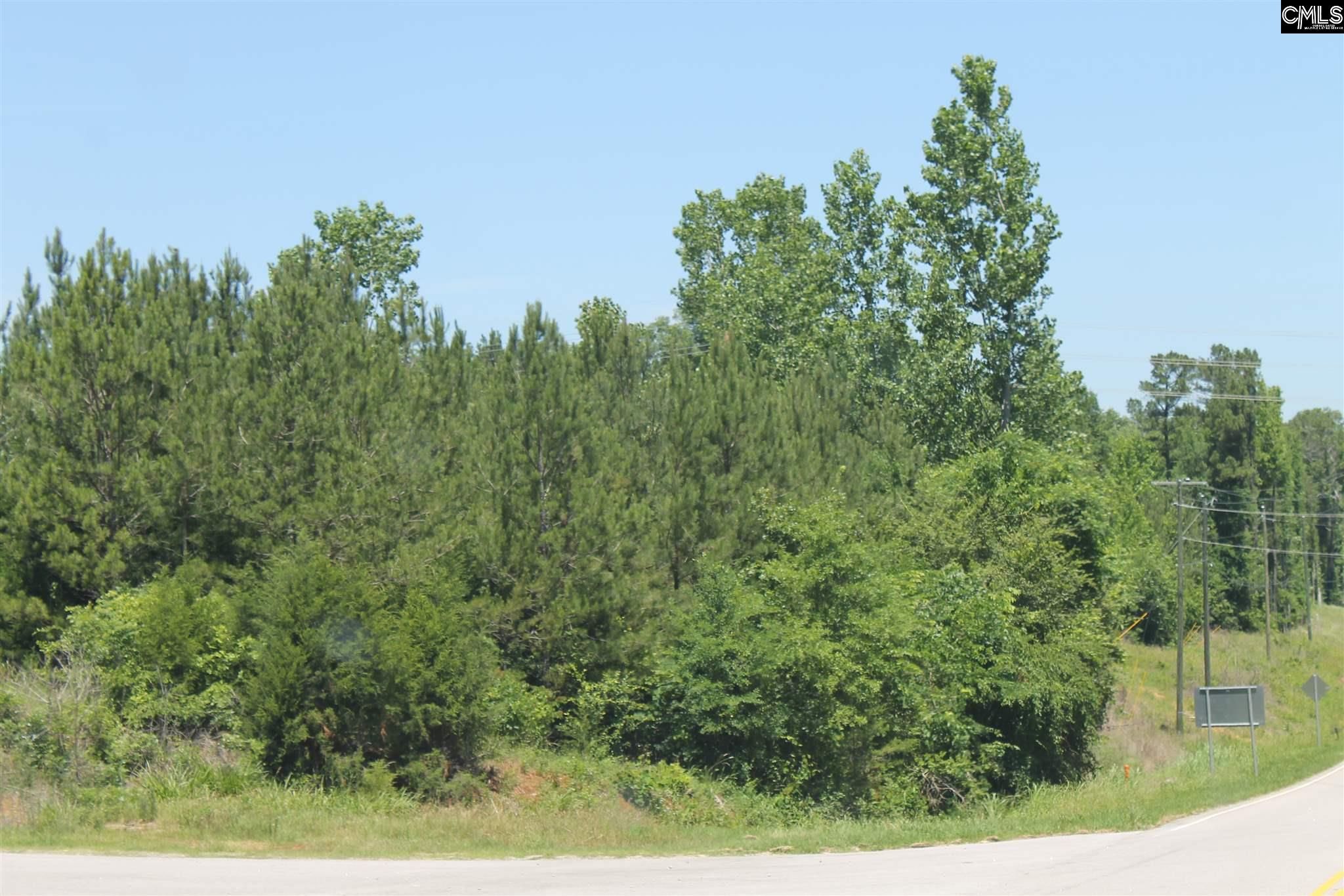 Little Mountain, Newberry County, SC Undeveloped Land for sale Property