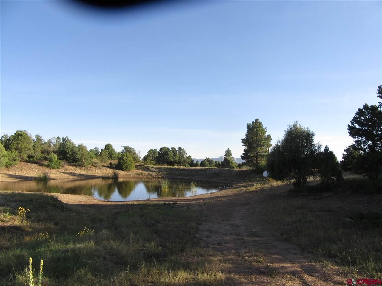 Mancos, Montezuma County, CO Undeveloped Land for sale Property ID