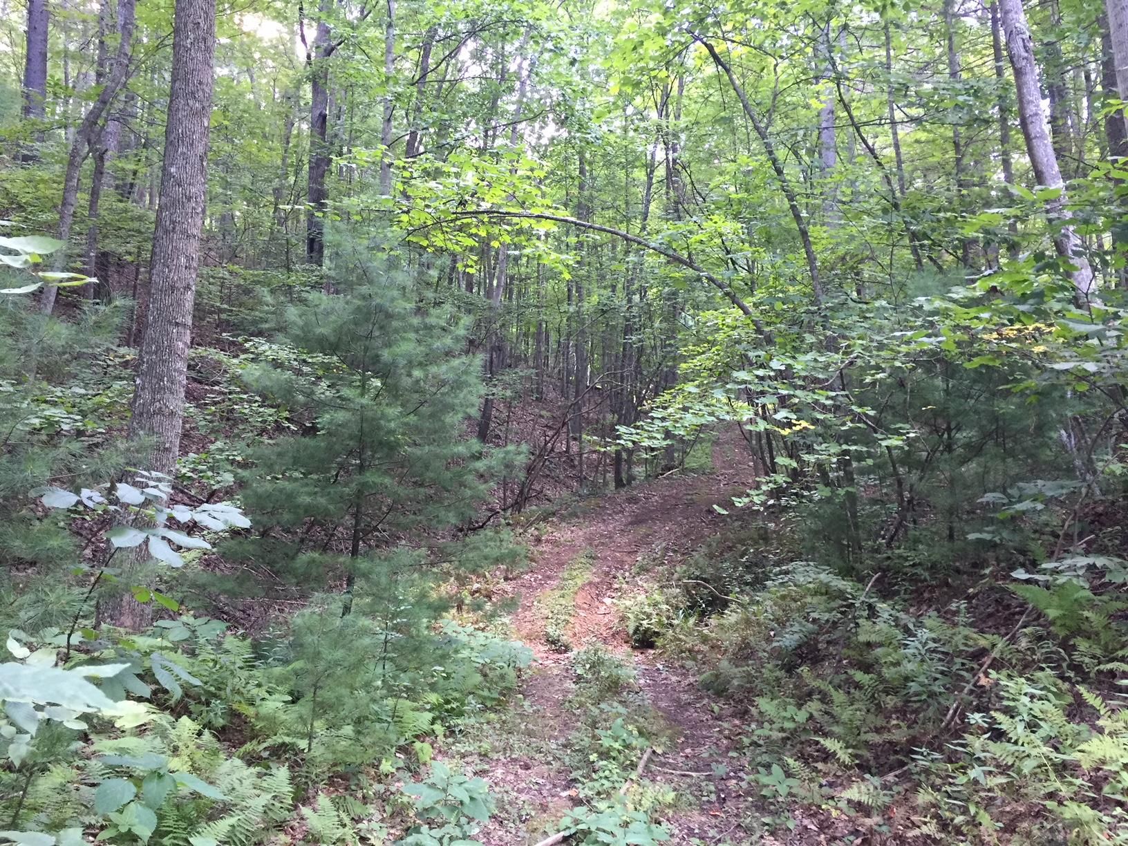 Gap Mills, Monroe County, WV Undeveloped Land, Homesites for sale