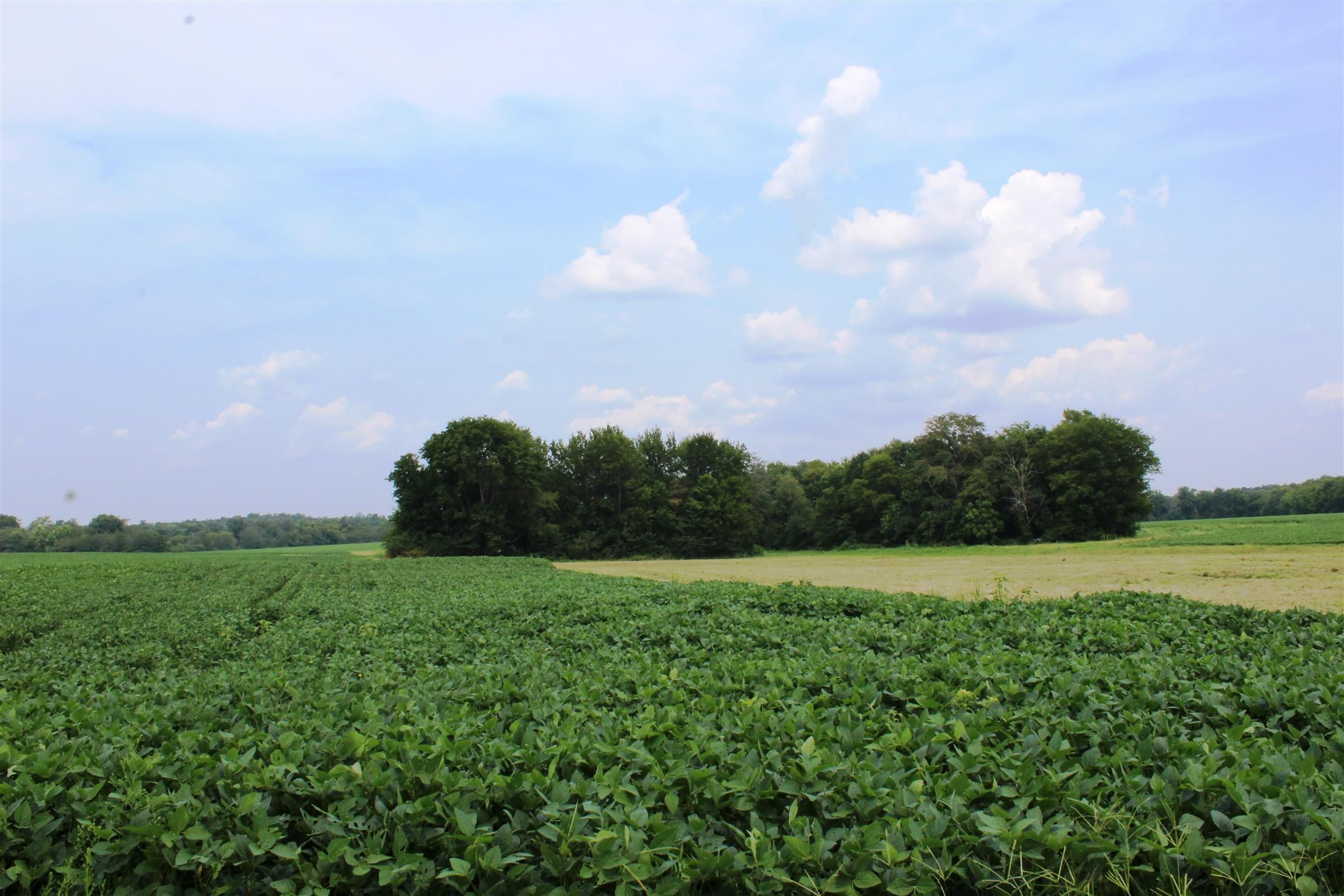 Cerulean, Christian County, KY Farms and Ranches for sale Property ID