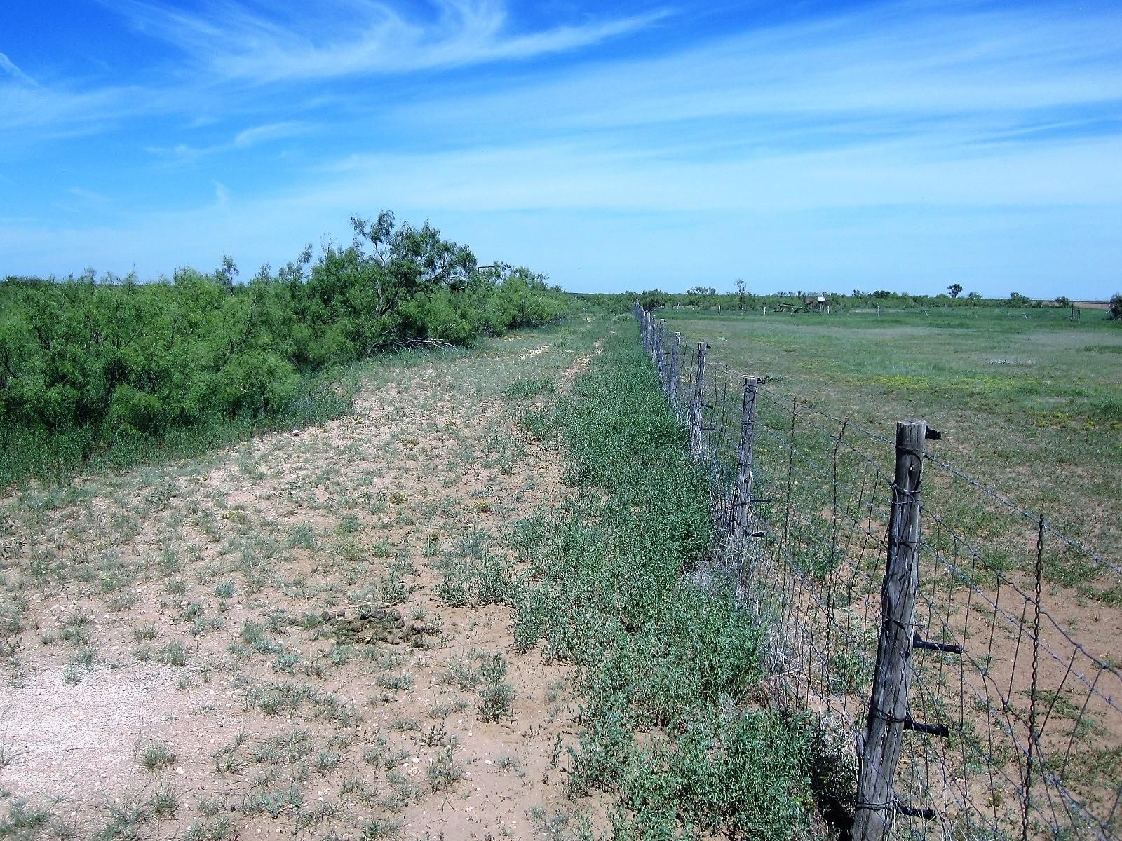 Lamesa, Dawson County, TX Farms and Ranches, Hunting Property for sale