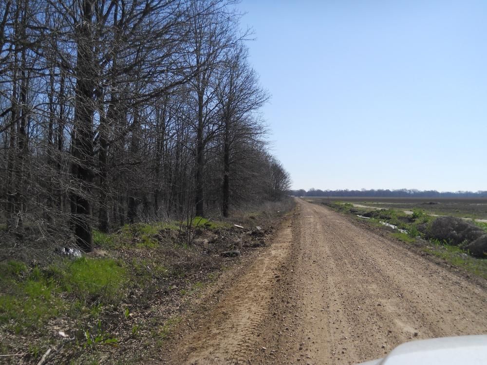 Ruleville, Sunflower County, MS Recreational Property, Timberland