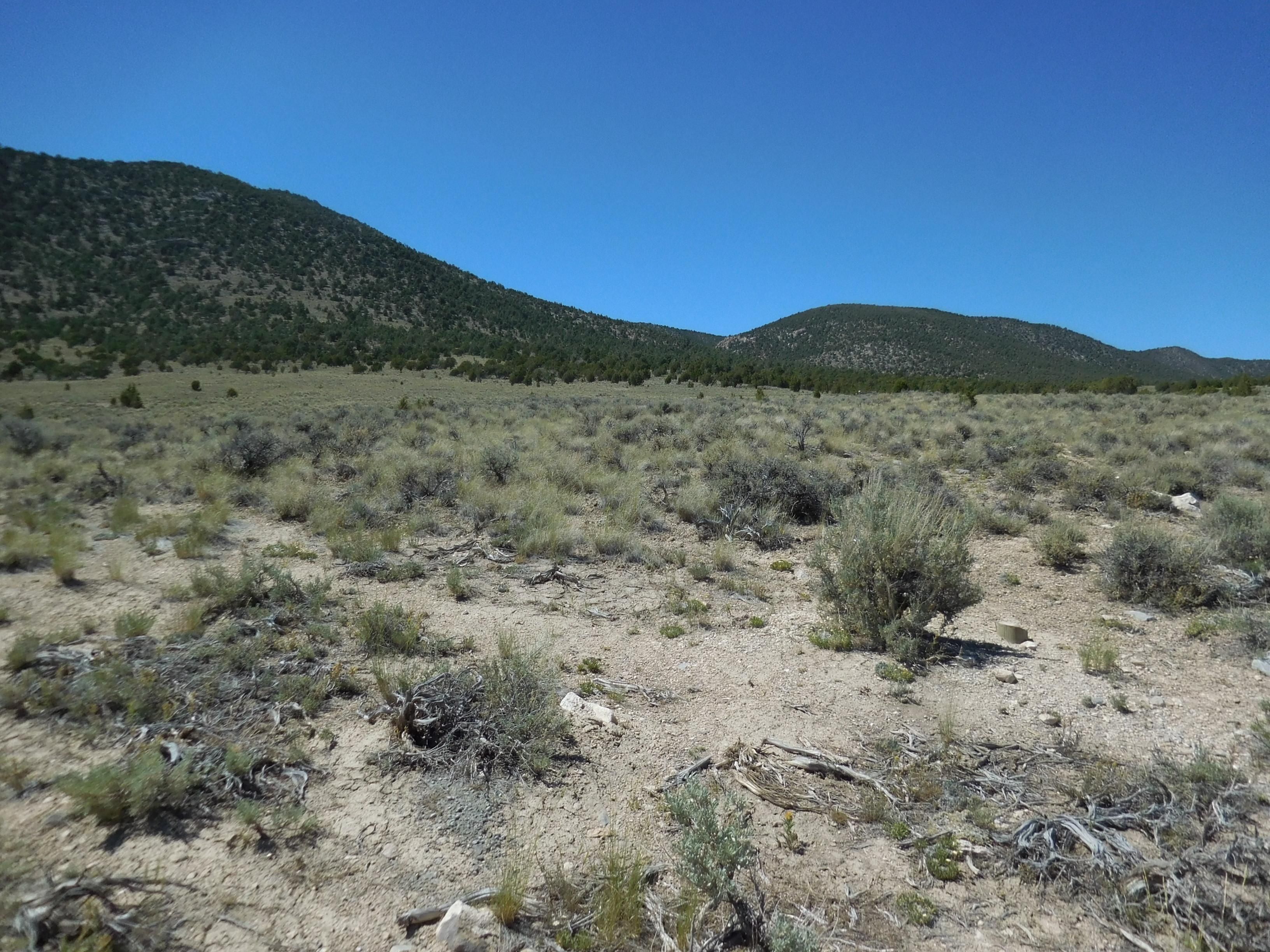 McGill, White Pine County, NV Recreational Property, Horse Property