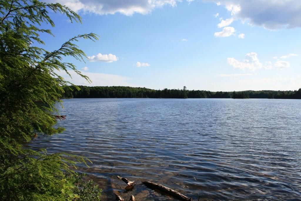 Watersmeet, Gogebic County, MI Undeveloped Land, Lakefront Property, Waterfront Property for