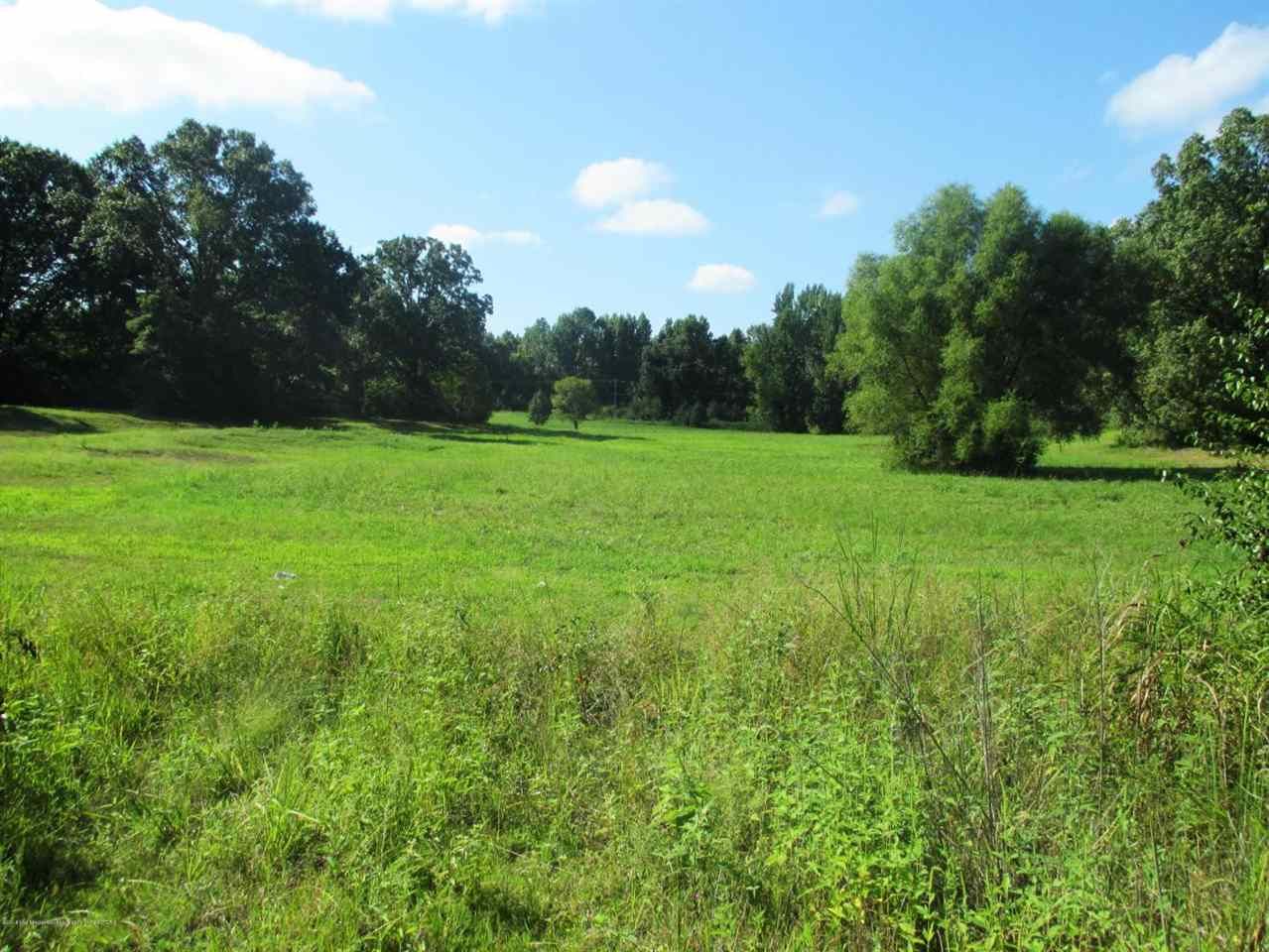 Olive Branch, DeSoto County, MS Undeveloped Land for sale Property ID