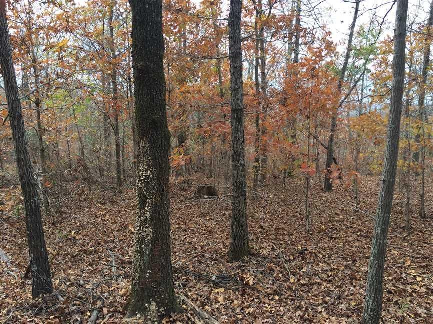 Ozark Acres, Sharp County, AR Recreational Property, Timberland