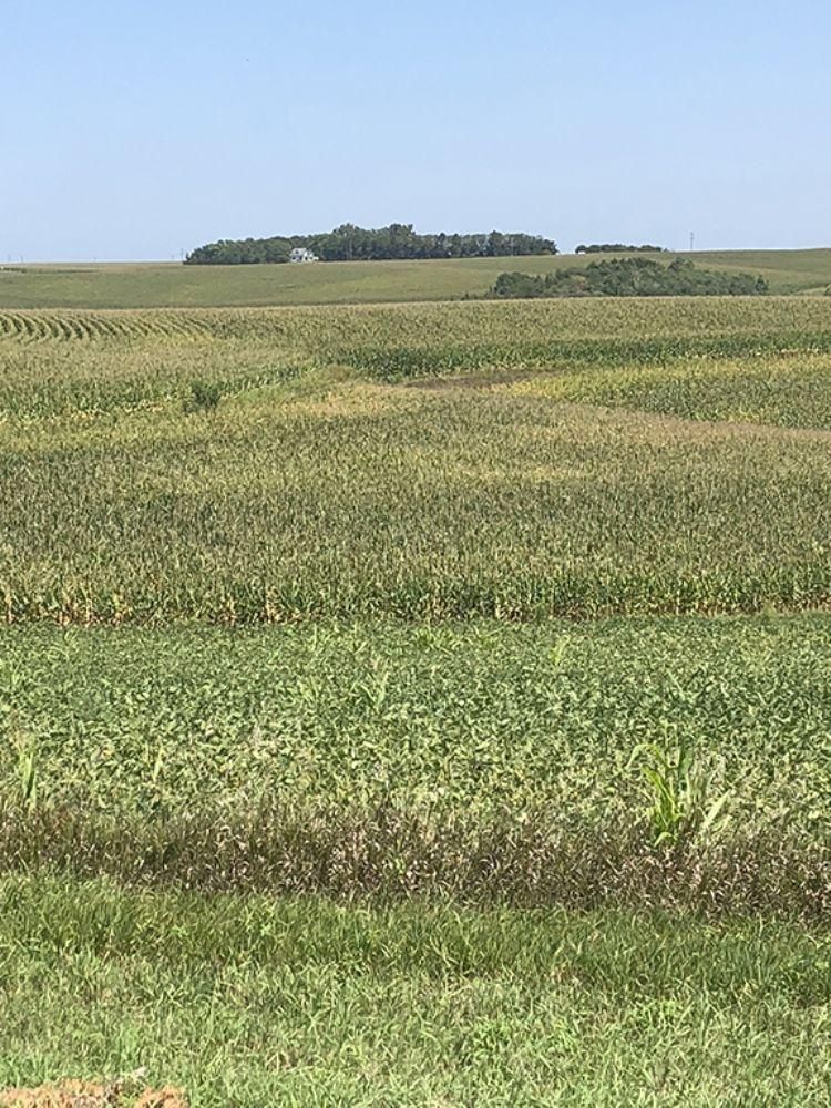 Stanton, Stanton County, NE Farms and Ranches for sale Property ID