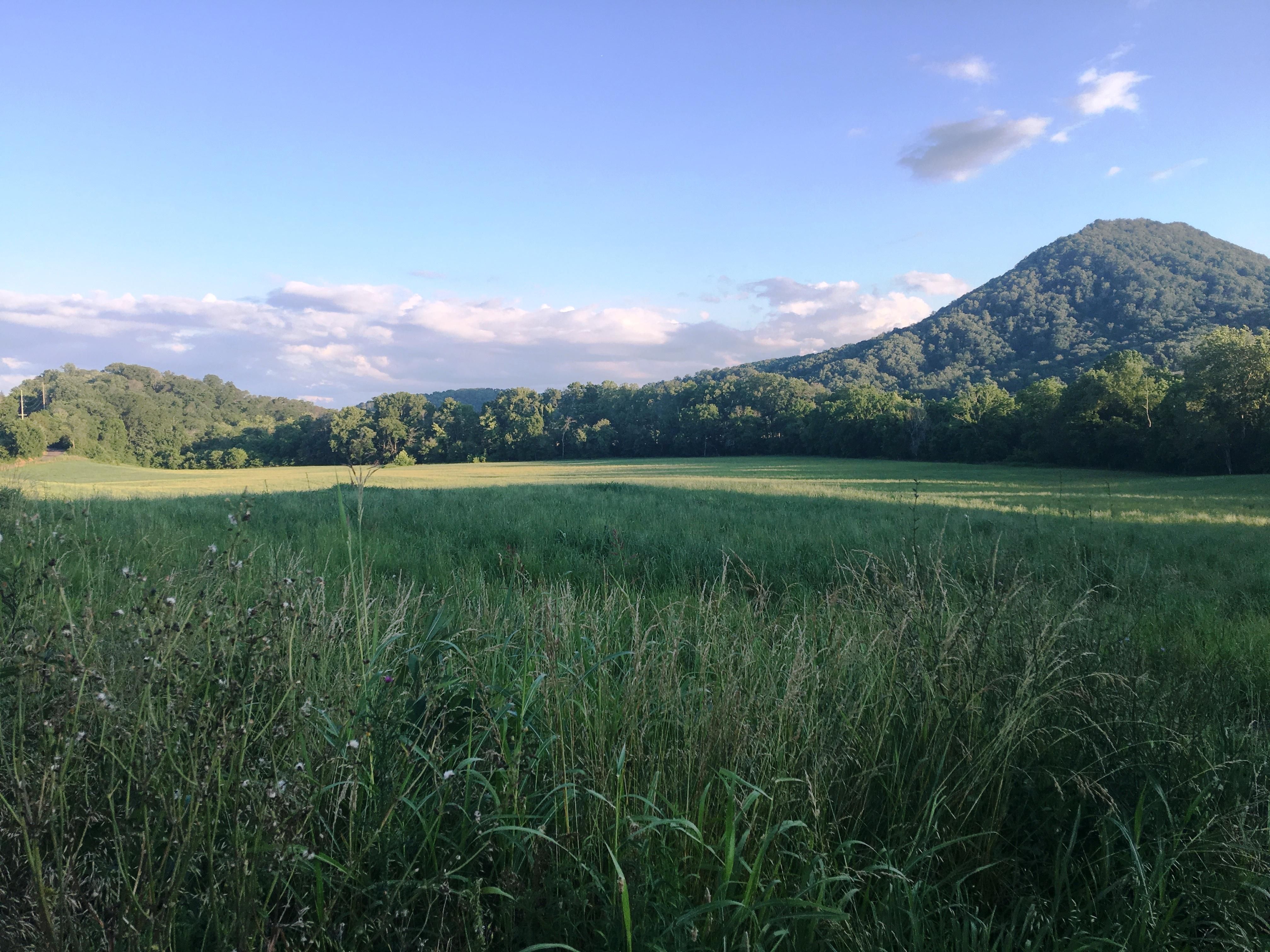 Corryton, Knox County, TN Recreational Property for sale Property ID