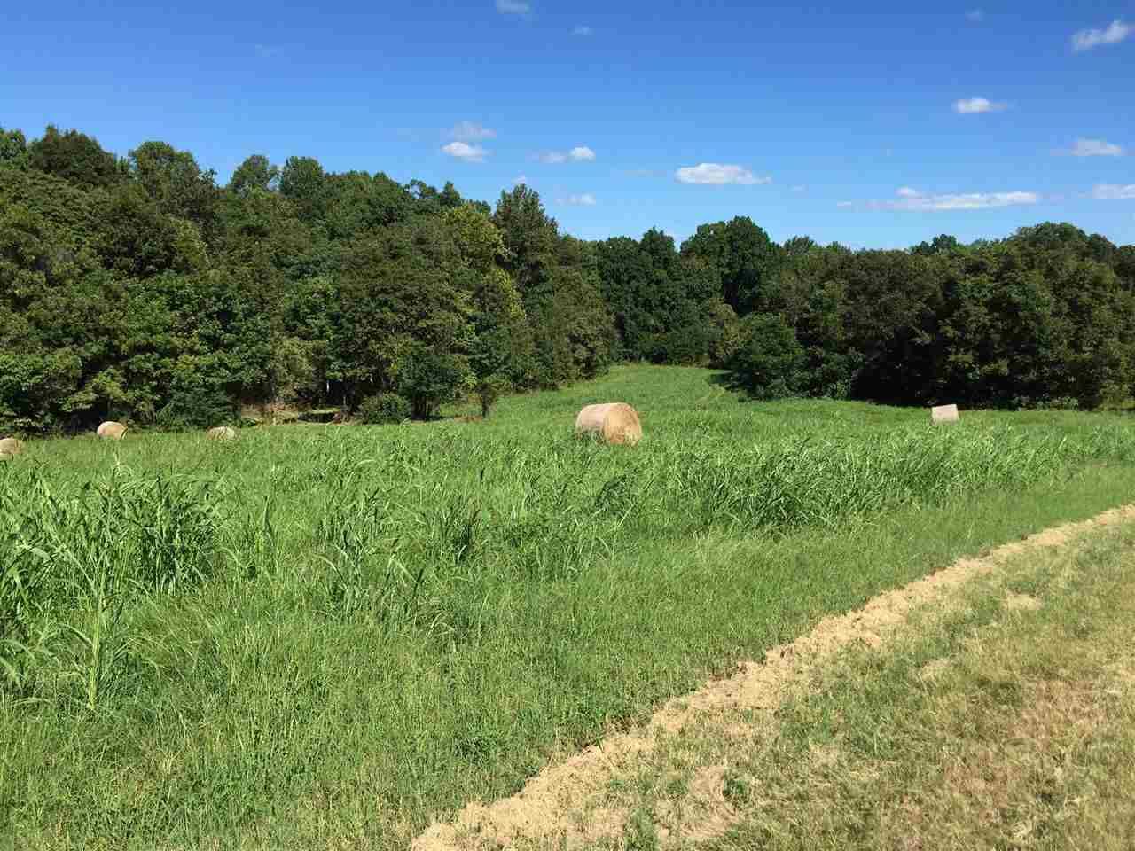 Millington, Shelby County, TN Undeveloped Land for sale Property ID 332753749 LandWatch