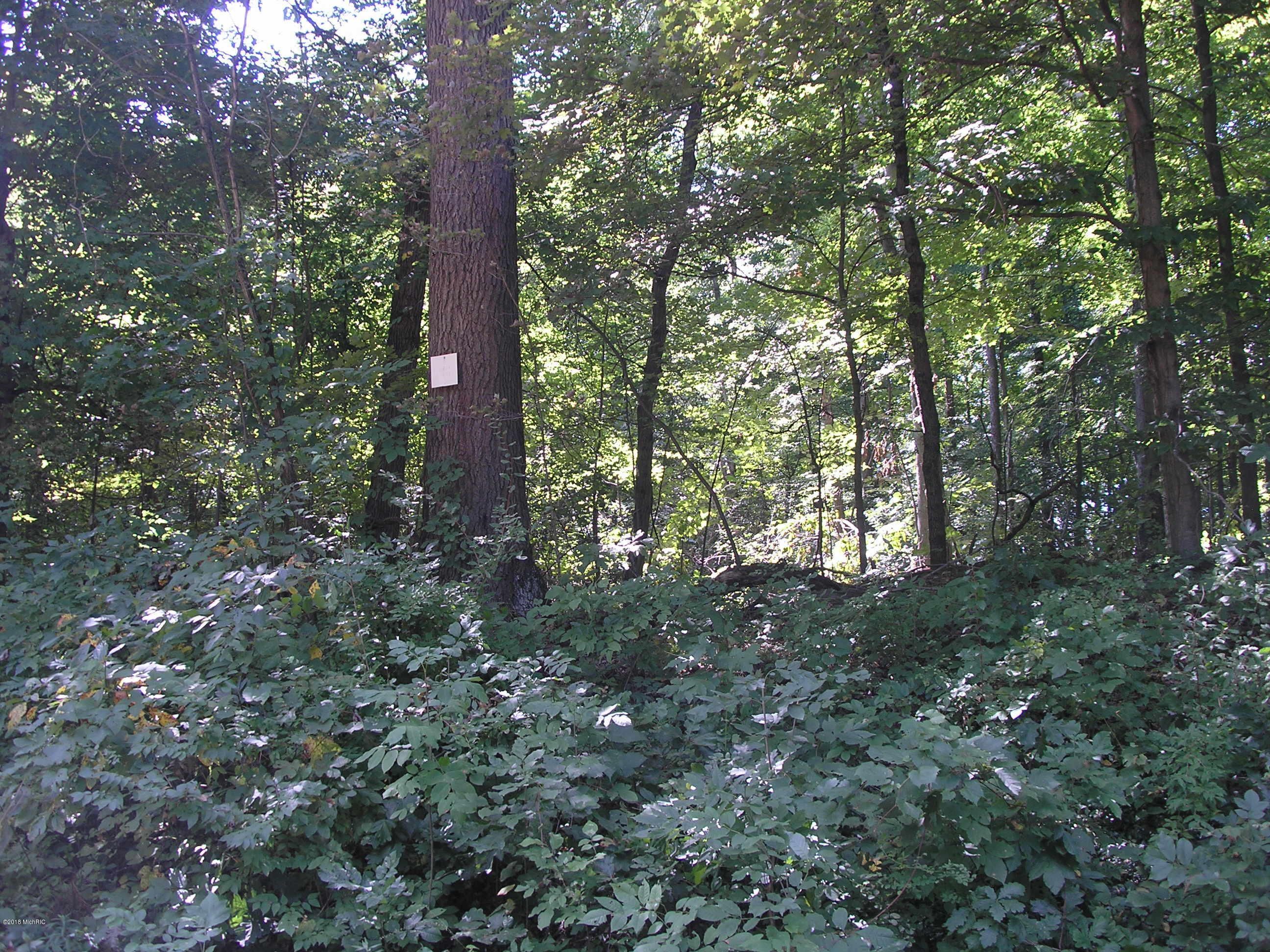 Three Rivers, Cass County, MI Undeveloped Land, Homesites for sale